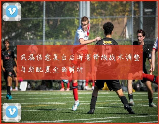 武磊伤愈复出后海港锋线战术调整与新配置全面解析